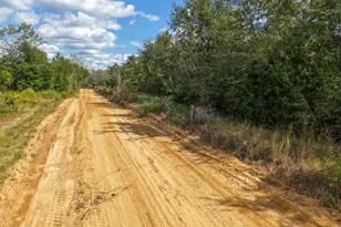 0 Bradley Rd, Marianna, FL 32448 - Photo 1