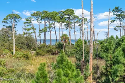 6274 Cape San Blas Road, Cape San Blas, FL 32456 - Photo 81