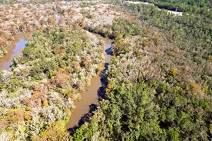0000 Strickland Rd, Ebro, FL 32437 - Photo 1