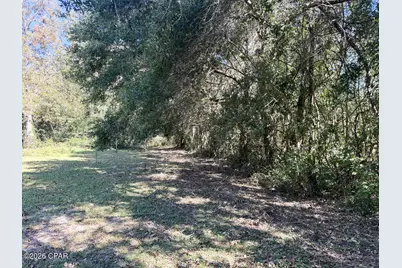 0000 Strickland Road, Ebro, FL 32437 - Photo 11