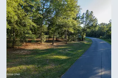 00 Compass Lake Dr, Alford, FL 32420 - Photo 1