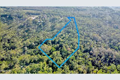 0000 Pate Pond Rd, Caryville, FL 32427 - Photo 5