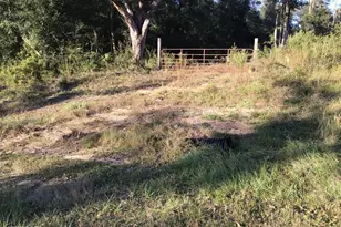 0000 Pate Pond Rd, Caryville, FL 32427 - Photo 1