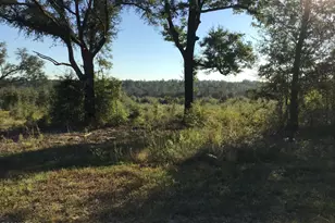00000 Pate Pond Rd Rd, Caryville, FL 32427 - Photo 1