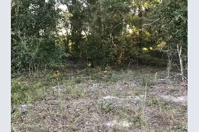 000000 Pate Pond Rd, Caryville, FL 32427 - Photo 1