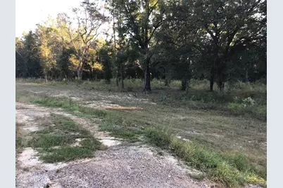 000000 Pate Pond Rd, Caryville, FL 32427 - Photo 3