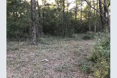000000 Pate Pond Rd, Caryville, FL 32427 - Photo 5