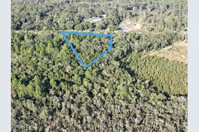 000000 Pate Pond Rd, Caryville, FL 32427 - Photo 11
