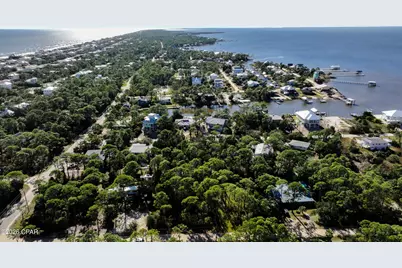 308 Howell Street, Saint George Island, FL 32328 - Photo 13