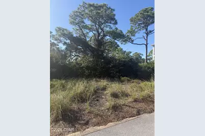 393 Cord Grass Way, Port Saint Joe, FL 32456 - Photo 5