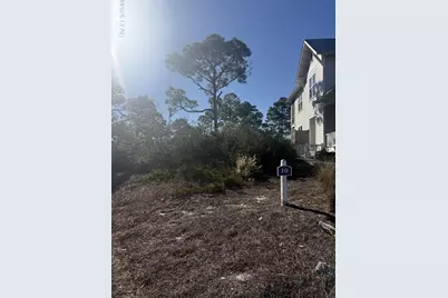 393 Cord Grass Way, Port Saint Joe, FL 32456 - Photo 1