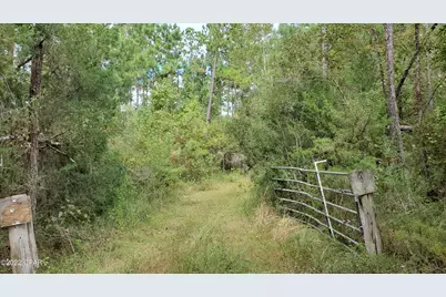 00 Buttercup Lane, Marianna, FL 32446 - Photo 1