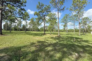 0 Petty Rd, Marianna, FL 32448 - Photo 1