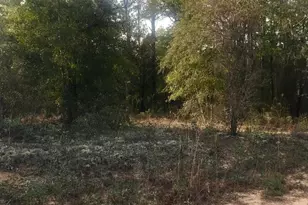 0 Dunford Circle, Chipley, FL 32428 - Photo 1