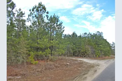 2429 Bridgecreek Road, Marianna, FL 32446 - Photo 1