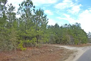 2429 Bridge Creek Rd, Marianna, FL 32446 - Photo 1