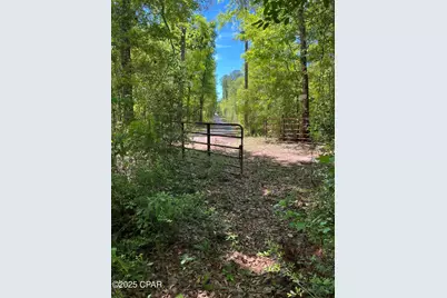 3712 Bunyon Drive Drive, Chipley, FL 32428 - Photo 1