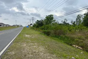 5100 Old Majette Tower Rd, Panama City, FL 32404 - Photo 1