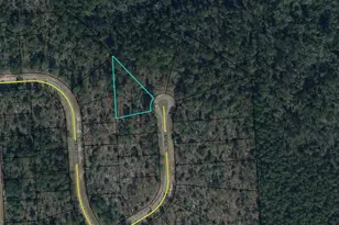 Lot 18 Blk 0410 Jeffers Ct, Chipley, FL 32428 - Photo 1