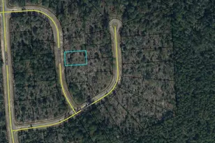 Lot 38 Blk 0413 Hernando Pl, Chipley, FL 32428 - Photo 1