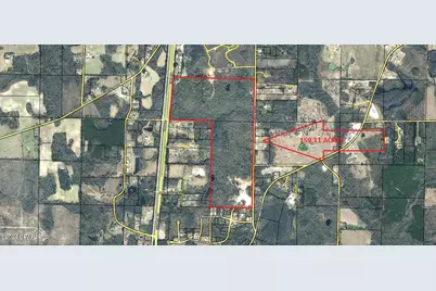 0 Hwy 231, Alford, FL 32420 - Photo 1