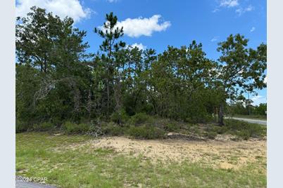 0000 Carey Boulevard, Chipley, FL 32428 - Photo 1