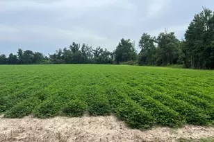 2183 N Hwy 73 Rd, Marianna, FL 32448 - Photo 1