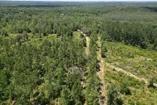 2826 Irene St, Ponce de Leon, FL 32455 - Photo 1