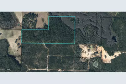 Tbd Douglas Ferry Road, Vernon, FL 32462 - Photo 1