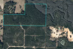 Tbd Douglas Ferry Rd, Vernon, FL 32462 - Photo 1