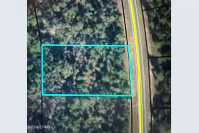 0 Fairview Road, Alford, FL 32420 - Photo 1