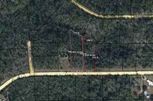 0 Elm Rd, Marianna, FL 32448 - Photo 1