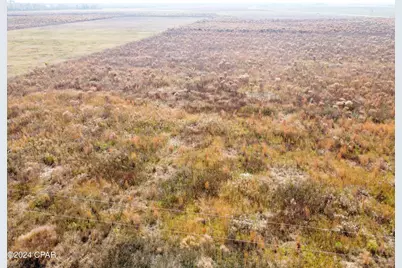 Xxx SE Oak Grove Road, Kinard, FL 32449 - Photo 1