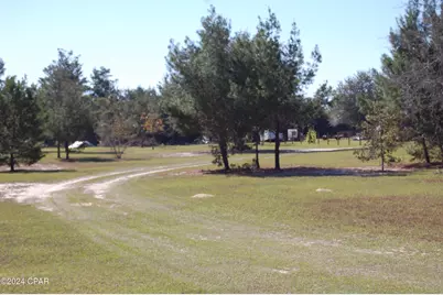 5377 NW County Road 274, Altha, FL 32421 - Photo 1