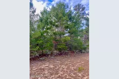 00 Ventura Drive, Chipley, FL 32428 - Photo 1