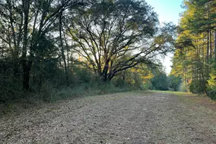 Tbd Post Oak Ln, Bonifay, FL 32425 - Photo 1