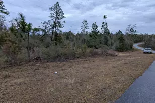 0 Compass Lake Dr, Alford, FL 32420 - Photo 1