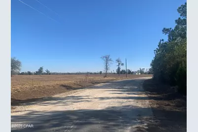 00 Bailey Cemetery Road, Clarksville, FL 32430 - Photo 1