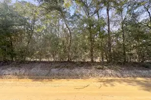 Xxx Bryant Bay Rd, Caryville, FL 32427 - Photo 1