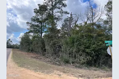 Lot 13 Vancouver Drive, Alford, FL 32420 - Photo 1