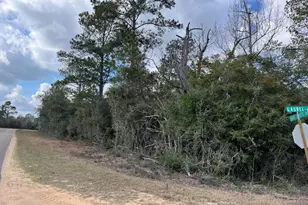 Lot 13 Vancouver Dr, Alford, FL 32420 - Photo 1