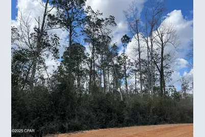 Lot 27 Southern Boulevard, Alford, FL 32420 - Photo 1