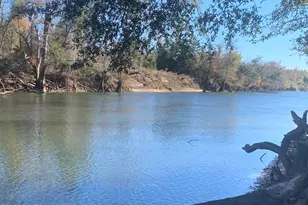 000 Missy Ln, Clarksville, FL 32430 - Photo 1