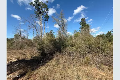 00 Tanager Court, Marianna, FL 32448 - Photo 1