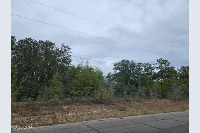 Tbd Randolph Drive, Chipley, FL 32428 - Photo 1