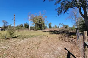 0 Mellow Trail, Marianna, FL 32446 - Photo 1