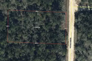 00 Canyon Ave, Alford, FL 32420 - Photo 1