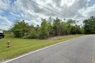 00 Mashburn Rd, Marianna, FL 32448 - Photo 1