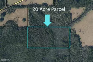 000 Off Of Coy Hinson Rd, Bonifay, FL 32425 - Photo 1