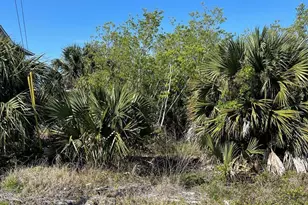 10 Americus Ave, Port Saint Joe, FL 32456 - Photo 1